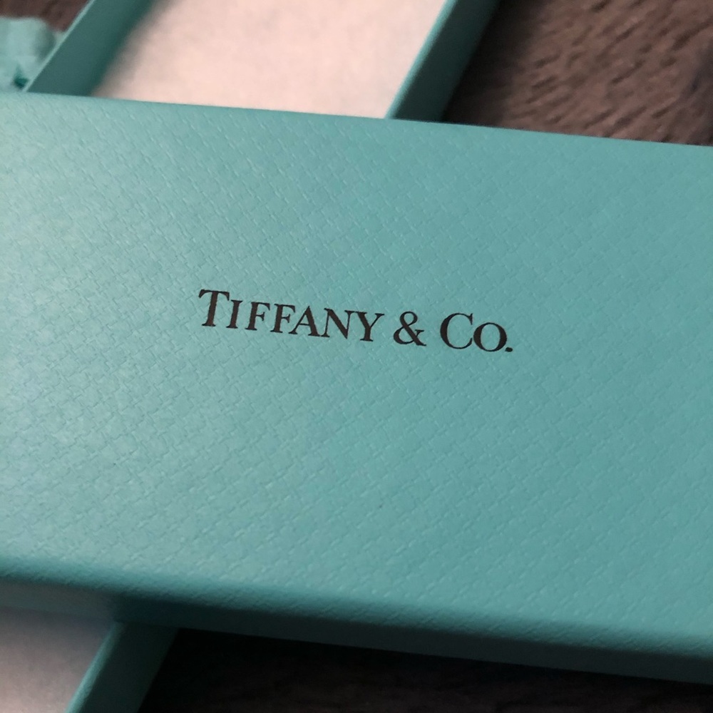 Tiffany & Co. Pen box & Pouch!